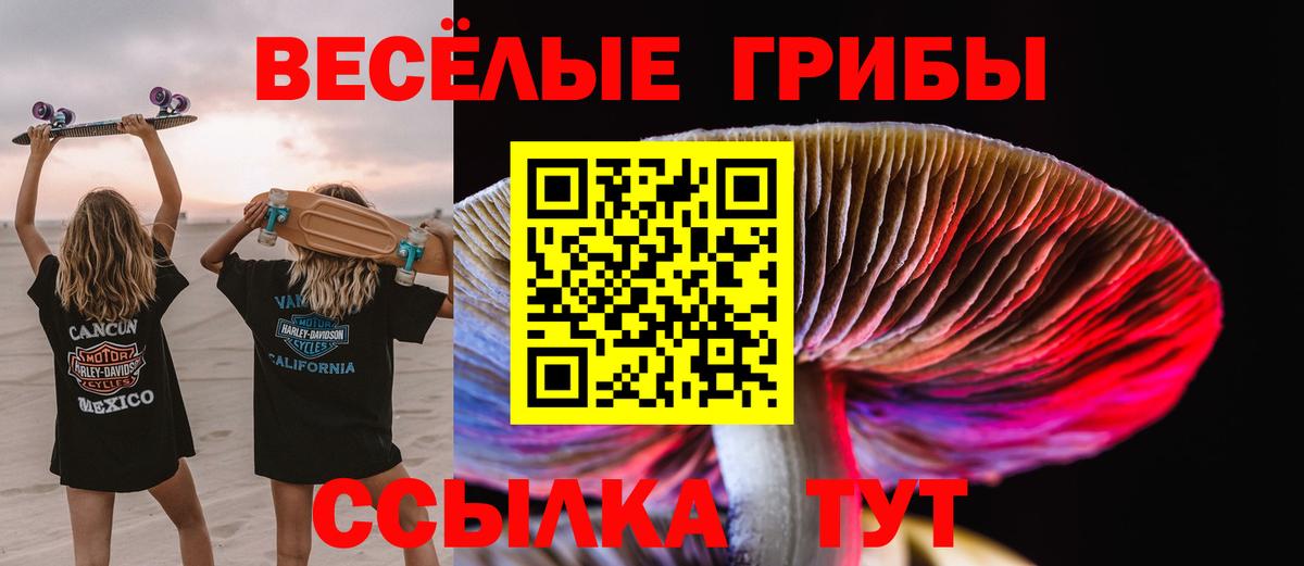 Минусинск  Галлюциногенные грибы мухоморы  купить наркоту  Вход с VPN 